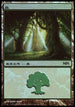 Forest - Lorwyn Cycle [Magic Premiere Shop]
