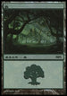 Forest - Shards of Alara Cycle [Magic Premiere Shop]