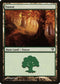 Forest (243) [Avacyn Restored]