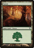 Forest (243) [Avacyn Restored]