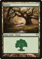 Forest (244) [Avacyn Restored]