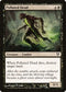 Polluted Dead (116) [Avacyn Restored]