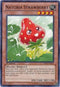 Naturia Strawberry (BP01-EN210) [Battle Pack: Epic Dawn]