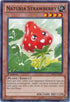 Naturia Strawberry (BP01-EN210) [Battle Pack: Epic Dawn]