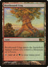 Rootbound Crag (228) [Magic 2013 (M13)]