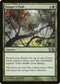 Ranger's Path (186) [Magic 2013 (M13)]