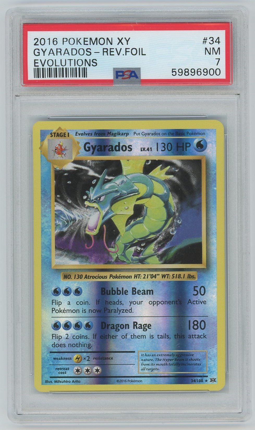 PSA (NM 7) Gyarados-rev.foil #34 - Pokemon Xy Evolutions (#59896900) PSA (NM 7) Gyarados-rev.foil #34 - Pokemon Xy Evolutions (#59896900)