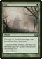 Fog (172) [Magic 2013 (M13)]