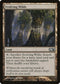 Evolving Wilds (224) [Magic 2013 (M13)]