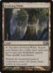 Evolving Wilds (224) [Magic 2013 (M13)]