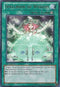 Spellbook of Wisdom (REDU-EN060) [Return of the Duelist]