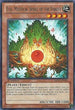 Eco, Mystical Spirit of the Forest (REDU-EN091) [Return of the Duelist]
