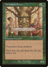 Yavimaya Scion [Urza's Legacy]