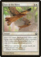 Eyes in the Skies (10) [Return to Ravnica]