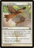 Eyes in the Skies (10) [Return to Ravnica]