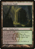 Overgrown Tomb (243) [Return to Ravnica]