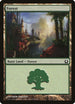 Forest (272) [Return to Ravnica]
