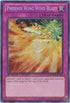 Phoenix Wing Wind Blast (LCYW-EN298) [Legendary Collection 3: Yugi's World]