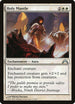 Holy Mantle (17) [Gatecrash]