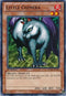 Little Chimera (SDOK-EN020) [Structure Deck: Onslaught of the Fire Kings]