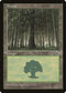 Forest (Large Middle) (203) [Portal]