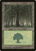 Forest (Large Middle) (203) [Portal]