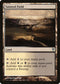 Tainted Field (34) [Duel Decks: Sorin vs. Tibalt]
