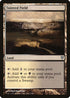 Tainted Field (34) [Duel Decks: Sorin vs. Tibalt]