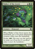 Walker of the Grove (173) [Modern Masters]