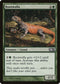 Rootwalla (192) [Magic 2014 (M14)]