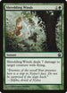 Shredding Winds (178) [Theros]