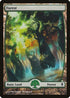 Forest - Full Art (248) [Zendikar]