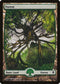 Forest - Full Art (249) [Zendikar]