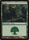 Forest (247a) (247a) [Zendikar]