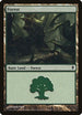 Forest (247a) (247a) [Zendikar]