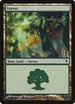 Forest (248a) (248a) [Zendikar]