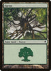 Forest (249a) (249a) [Zendikar]
