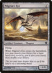 Pilgrim's Eye (253) [Commander 2013]