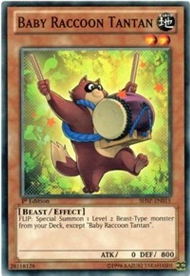 Baby Raccoon Tantan (SHSP-EN015) [Shadow Specters]