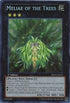 Meliae of the Trees (SHSP-EN055) [Shadow Specters]