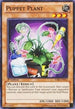 Puppet Plant (YSKR-EN022) [Starter Deck: Kaiba Reloaded]