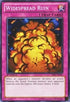 Widespread Ruin (YSKR-EN045) [Starter Deck: Kaiba Reloaded]