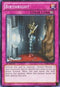 Birthright (YSKR-EN047) [Starter Deck: Kaiba Reloaded]