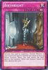 Birthright (YSKR-EN047) [Starter Deck: Kaiba Reloaded]