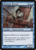 Phantom Warrior (14) [Duels of the Planeswalkers]