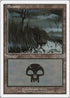 Swamp (42) [Deckmasters Garfield vs Finkel]