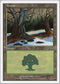 Forest (49) [Deckmasters Garfield vs Finkel]