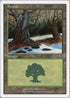 Forest (49) [Deckmasters Garfield vs Finkel]