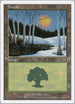 Forest (50) [Deckmasters Garfield vs Finkel]