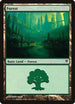 Forest (84) [Duel Decks: Jace vs. Vraska]